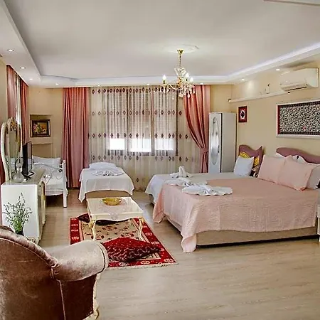 Ephesus Palaces 3* 셀주크